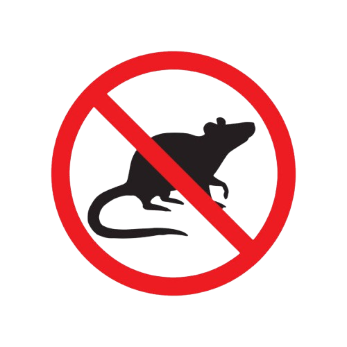 rodent-removebg-preview