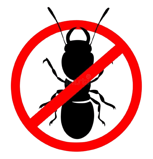 terminate-removebg-preview